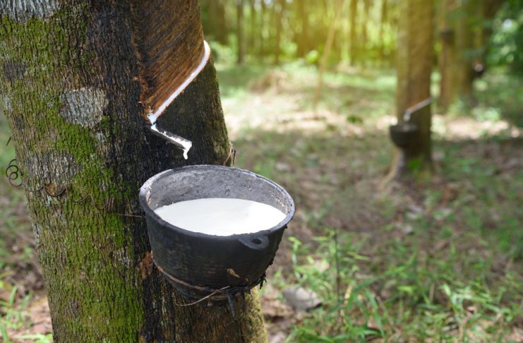 karet, minyak mentah, harga