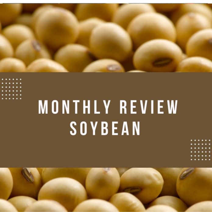 Monthly review soybean