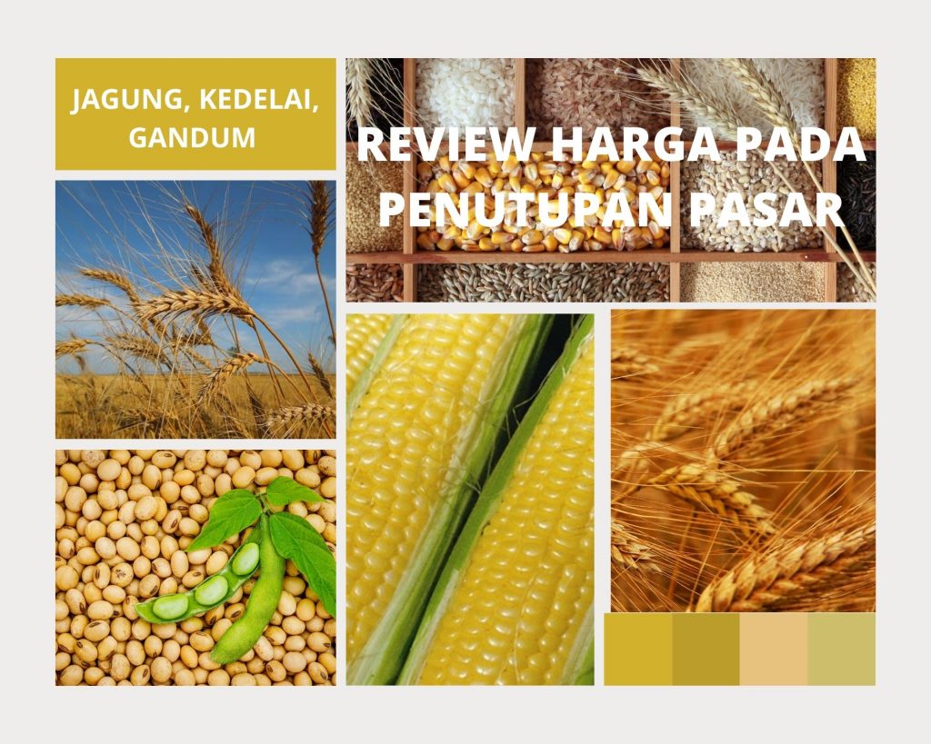 Harga Gandum Saja Yang Turun, Harga Jagung dan Kedelai Naik Pada