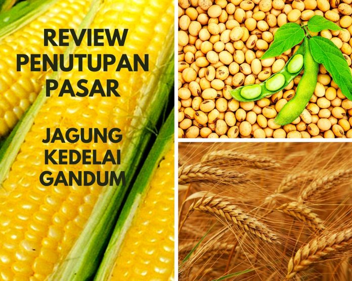 REVIEW tutup biji2an