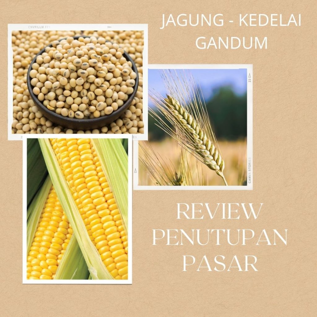 Harga Biji-bijian Mixed Pada Penutupan Pasar Hari Rabu | Vibiznews.com