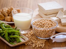 kedelai, soymeal, soybean