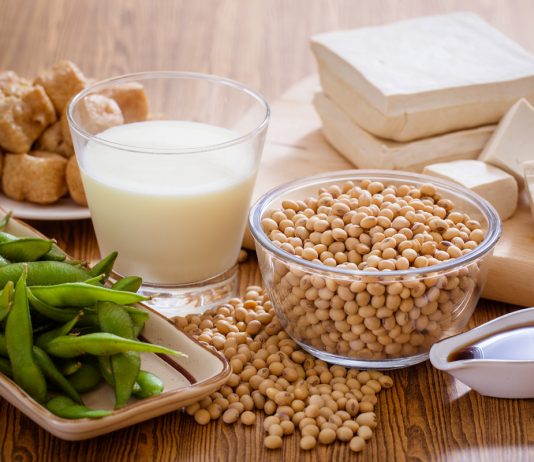 kedelai, soymeal, soybean