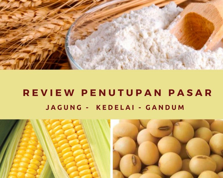 Harga Biji bijian Semua Naik Pada Penutupan Pasar Hari 