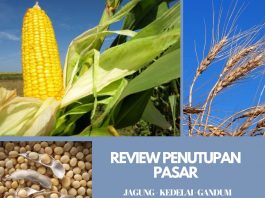 jagung, kedelai, gandum