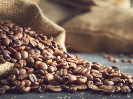 kopi Arabika, kopi Robusta