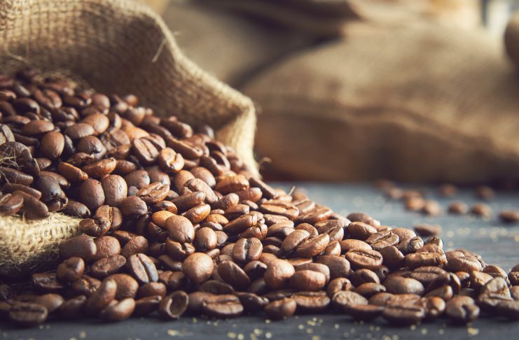 Harga Kopi Berakhir Naik Jumat Terpicu Lambatnya Laju Panen di Brasil kopi Arabika, kopi Robusta