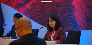 Pertemuan ASEAN CECWG