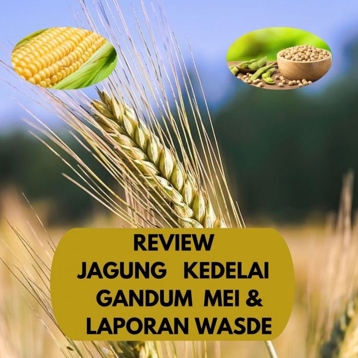 review mei, jagung, kedelai,gandum