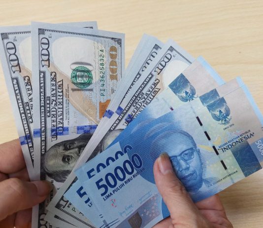 Perkembangan Indikator Stabilitas Nilai Rupiah (22 November 2024): Rupiah Menguat