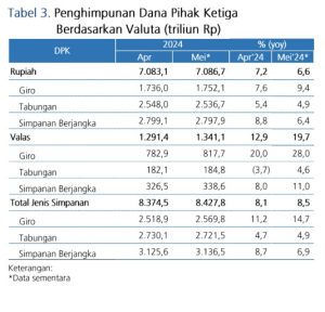 Tabel 3 Penghimpunan DPK Berdasarkan Value Mei 2024