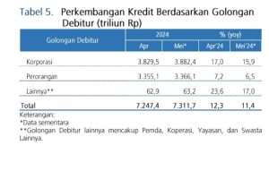 Tabel 5 Perkembangan Kredit Mei 2024