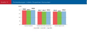 Grafik 11 Perkembangan IEK Agustus 2024