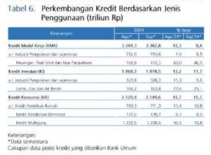 Tabel 6 Perkembangan Kredit Berdasarkan Jenis Penggunaan Sept 2024