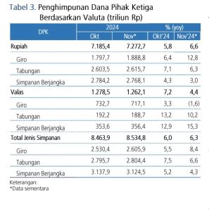 Tabel 3 Penghimpunan DPK Berdsrk Valuta Nov 2024