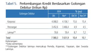 Tabel 5 Perkembangan Kredit Berdsr Gol Debitur Nov 2024