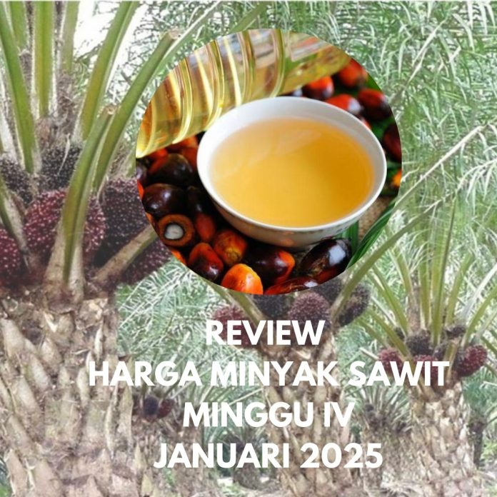 Review Januari ke IV Harga minyak sawit