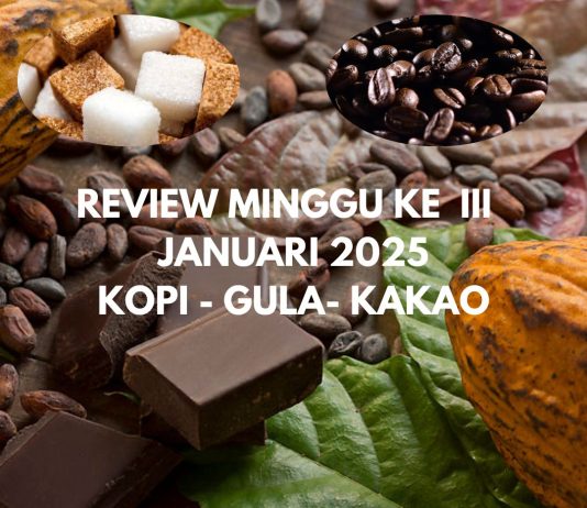 review minggu ke III