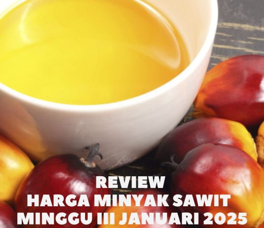 REVIew mingu III