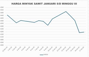 review minggu 3