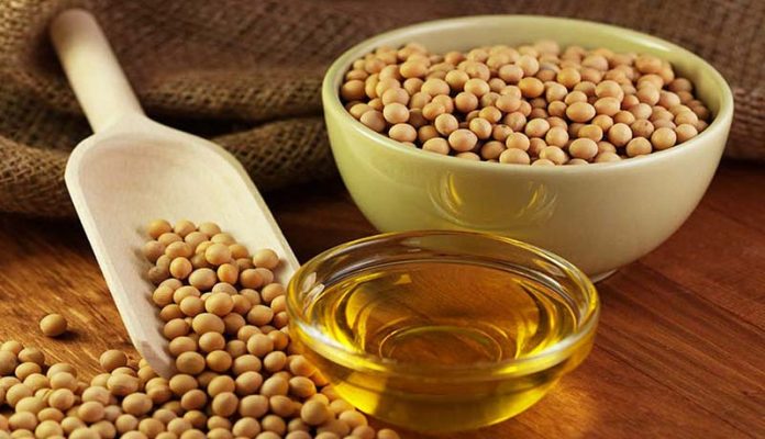 minyak kedelai