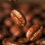 Rekomendasi Harga Kopi Arabika 8 September 2026 kopi hitam, biji kopi