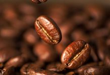 kopi hitam, biji kopi