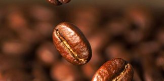 kopi hitam, biji kopi