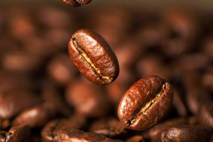 kopi hitam, biji kopi