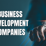 Business Development Company