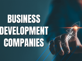 Business Development Company