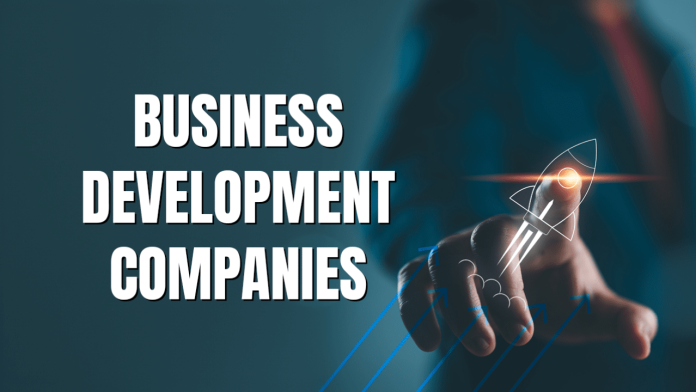 Business Development Company Business Development Company